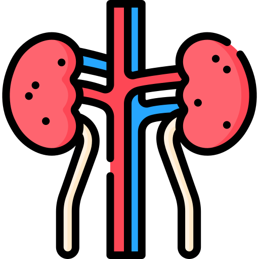 Urology